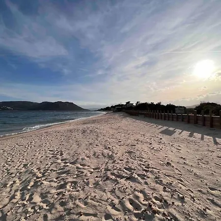 Piscine A 1km Proche Porto Vecchio *