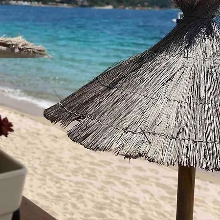 Piscine A 1km Proche Porto Vecchio Lecci