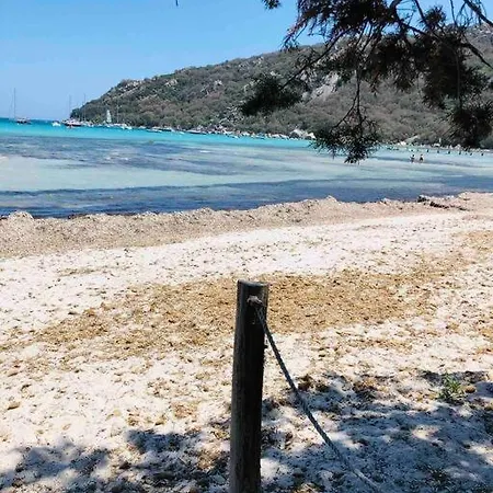 Piscine A 1km Proche Porto Vecchio *