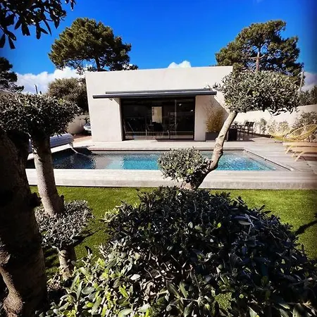 Piscine A 1km Proche Porto Vecchio Willa *