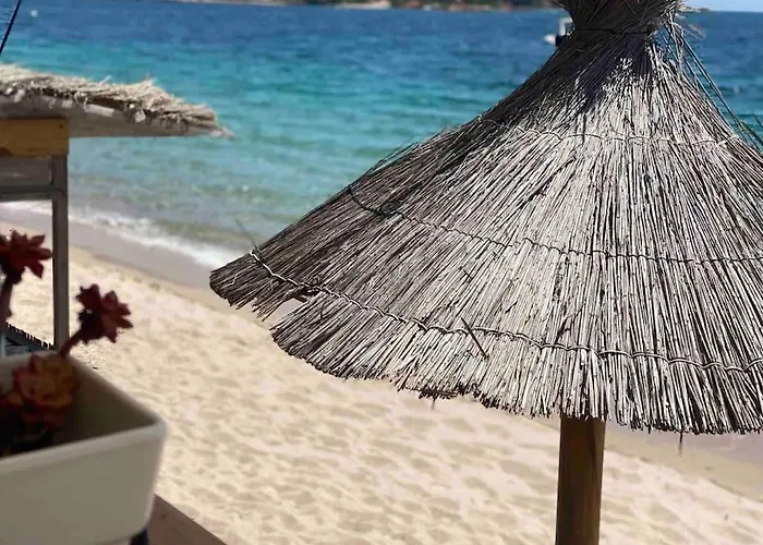 Piscine A 1km Proche Porto Vecchio Lecci