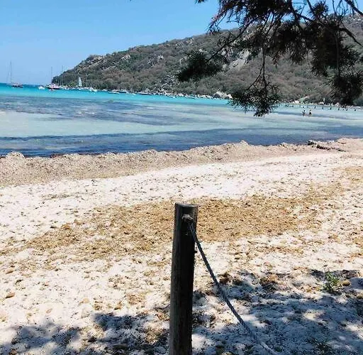 Piscine A 1km Proche Porto Vecchio *